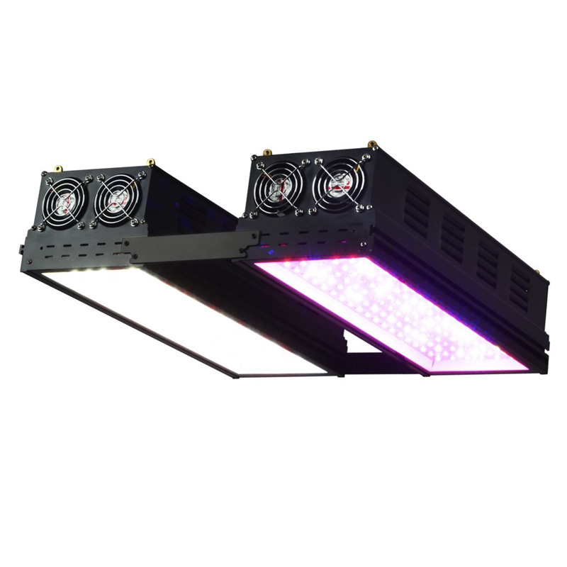 BLACK SERIES LED Spectrum Grow Light 566W Double-Module Black Clear PC Lens